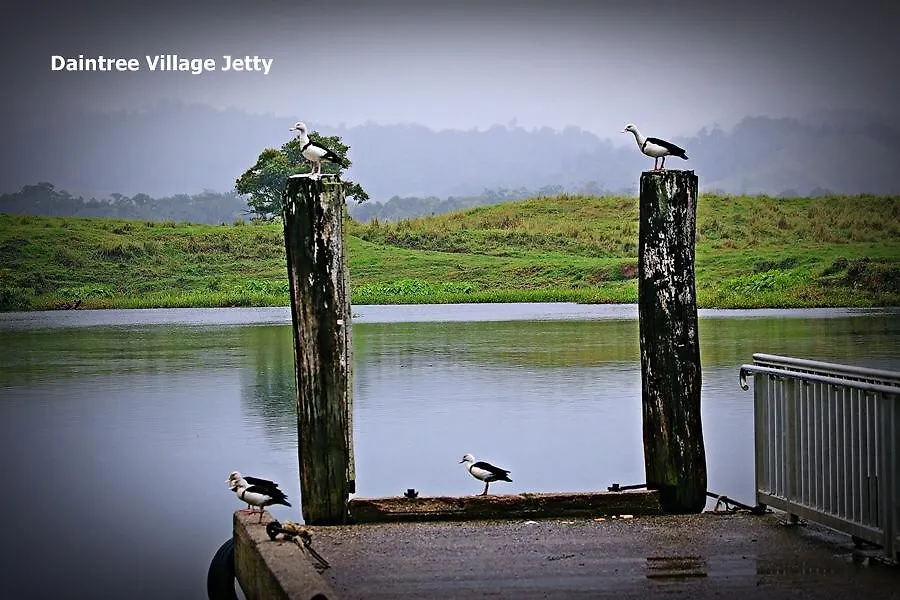 Holiday home Egrets Rest Villa Daintree Australia